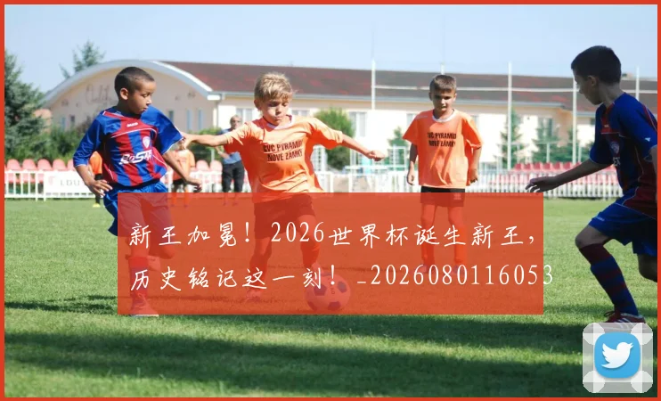 新王加冕!2026世界杯诞生新王,历史铭记这一刻!_20260801160538