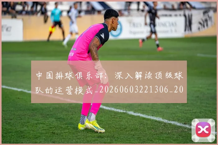 中国排球俱乐部:深入解读顶级球队的运营模式_20260603221306_20260702202002